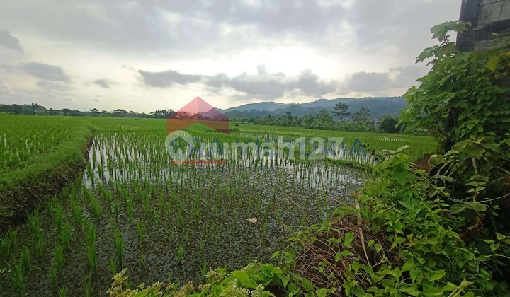 Dijual Tanah Di Lawang Akses Jalan Mudah Dekat Perbukitan & Udara Sejuk Dijual Tanah Di Lawang Akses Jalan Mudah Dekat Perbukitan & Udara Sejuk