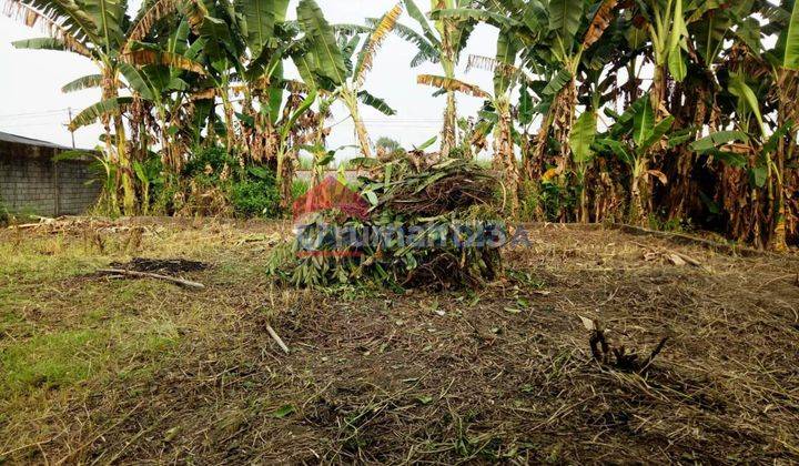 Ruko Atau Gudang di Jalan Raya Kediri, Kertosono, Kediri 2