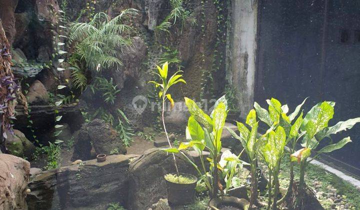 Dijual Rumah Besar  Di Pulomas. Jakarta Timur 2