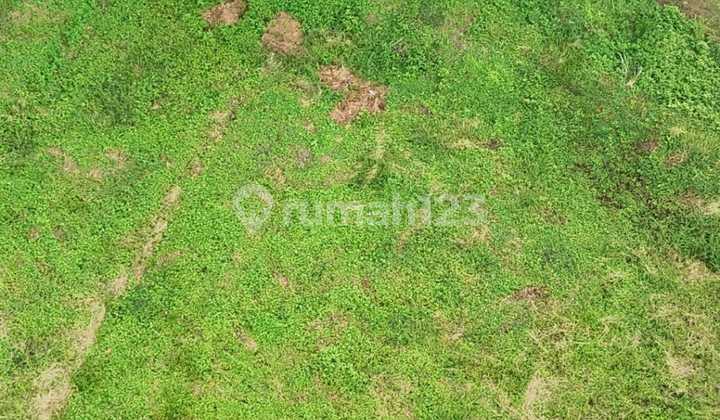 Dijual Tanah Kavling Woodland Citraland Surabaya Barat