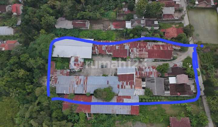 Tanah Sawah Di Timur Rumah Budaya Tembi Mangku Jalan Cor Kampung 2