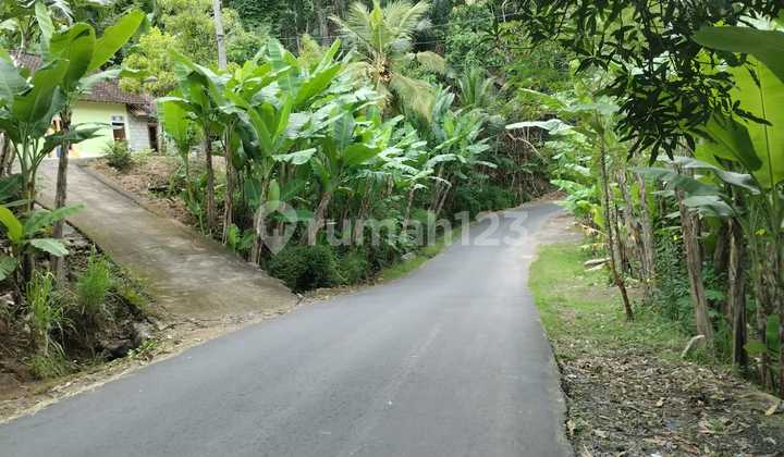 Pekarangan Akses Jalan Aspaldi Girimulyo Kulon Progo