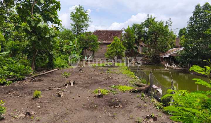 Hurry, a spacious house is for sale cheap in Potorono, Banguntapan, Bantul. 2