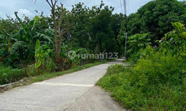 Tanah Sawah Di Timur Rumah Budaya Tembi Mangku Jalan Cor Kampung 1