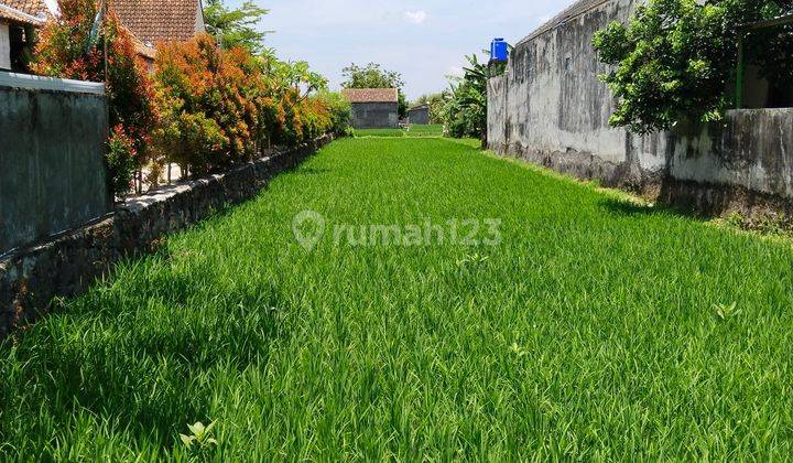 Tanah Strategis View Sawah 75 Meter Dari Uad4 Mangku Aspal Utama  2