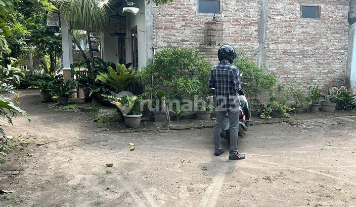 Tanah Pekarangan Murah Di Belakang Kantor Kelurahan Gilangharjo Pandak Bantul 1