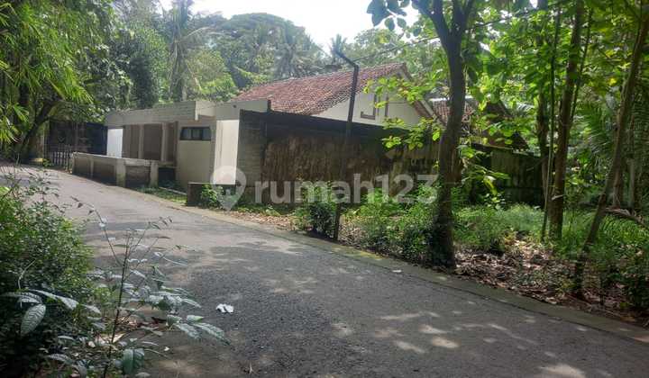 Cheap Yellow Zone Land in Pajangan