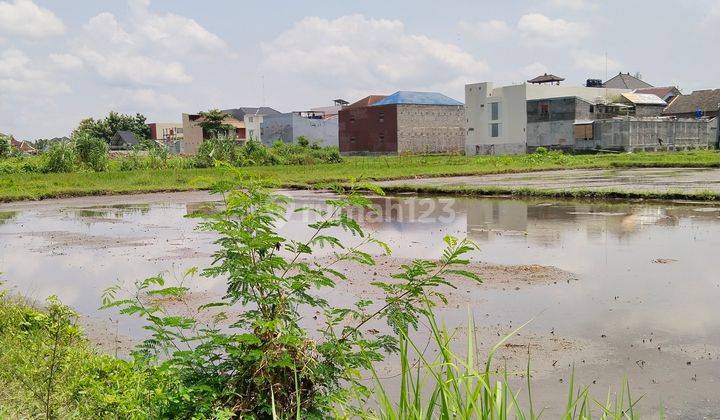 Sawah Ring 1 Harga Ambyar Jalur Kuning  Nempel Uad 4 2