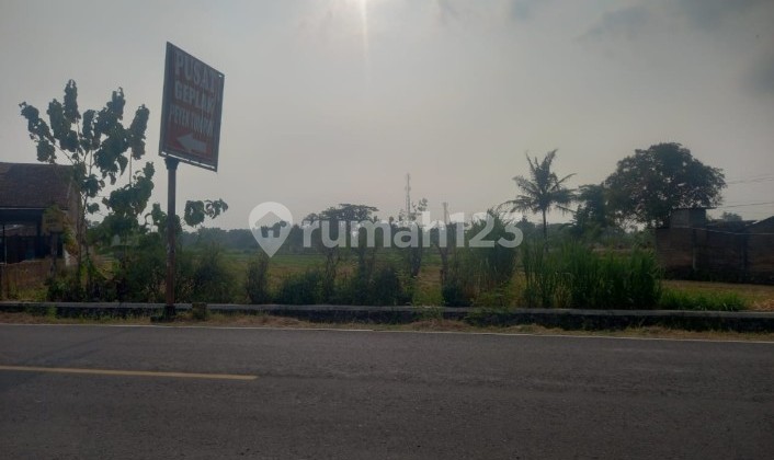 Tanah Mangku Jln Utama di Patalan Jetis Bantul Yogyakarta