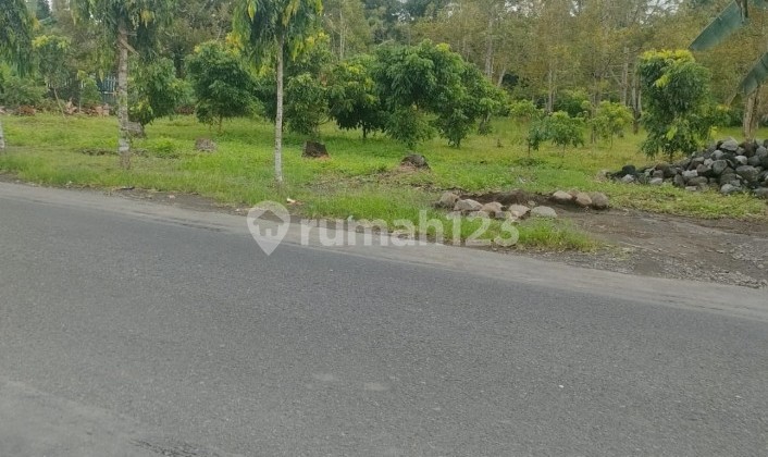 Selling Land with Bonus Fruit Plants in Purwodadi, Purworejo