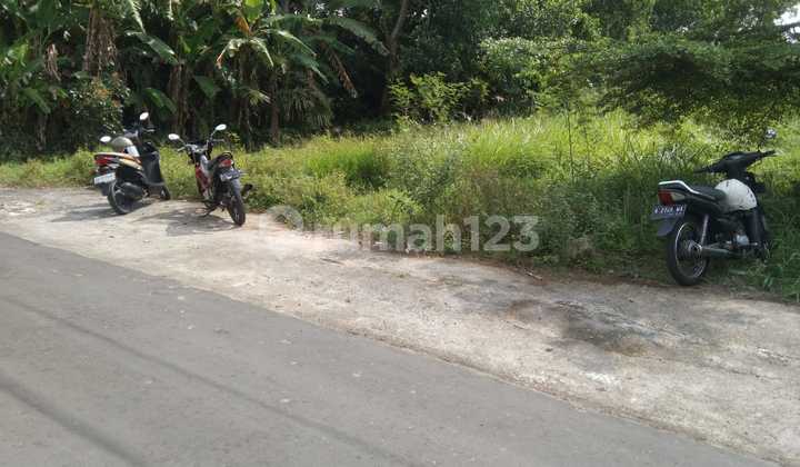 Pekarangan Strategis dan Prospektif di Sardonoharjo Ngaglik Sleman
