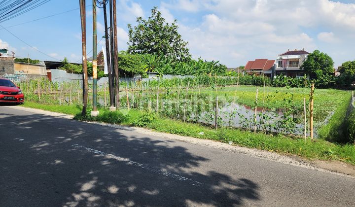 Tanah Pekarangan Murah di Baturetno Banguntapan Bantul