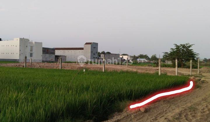 Tanah Sawah Jalur Kuning Mepet Uad4 , Akses Jalan 4 Meter 2