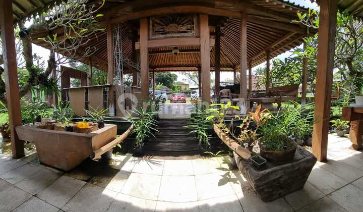 Affordable Classic Joglo House Near UMY Campus