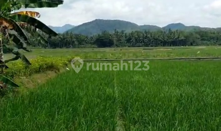 Tanah Pekarangan View Sawah,Rel Kereta, Pegunungan di Tawangsari Pengasih Kulon Progo Tanah Pekarangan View Sawah,Rel Kereta, Pegunungan di Tawangsari Pengasih Kulon Progo