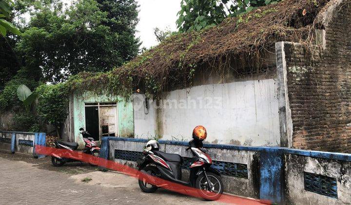 Tansh Pekarangan Di Ngewotan Jalan Tino Sidin Kasihan Bsntul 1