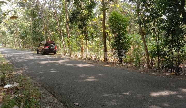 Tanah Pekarangan Di Jalan Utama Pajangan Bantul Selatan Pt Ameya