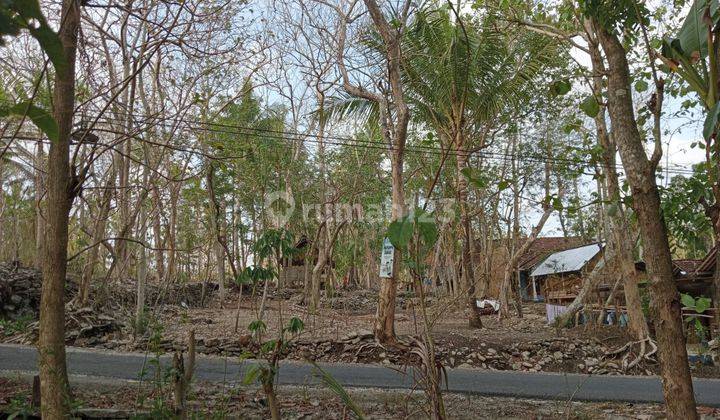 Tanah Pekakarangan Luas Murah,luas Lokasi Bagus Mangku Aspal 1