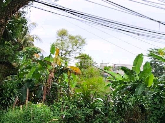 Tanah Luas 1.200 M2 Rp 15 Juta /m2 Di Jl Durian, Jagakarga, Jaksel Dekat Dgn Sekolah Internasional