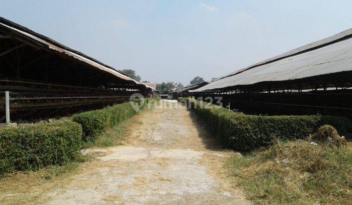 Tanah Luas Ex Peternakan Di Cimuning, Bekasi 1