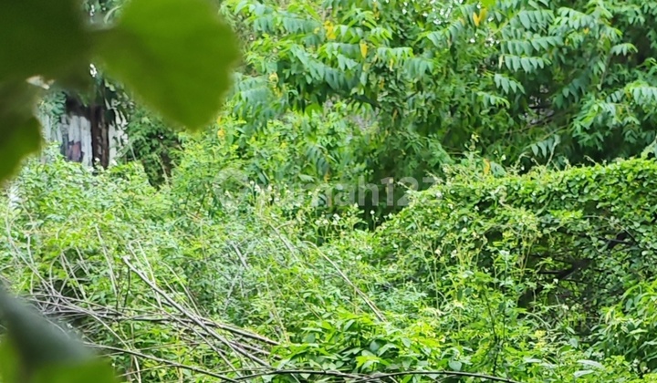 Dijual Di Bawah Njop Tanah Luas Fisik 600 M2 Di Mangga Besar Raya, Jakbar