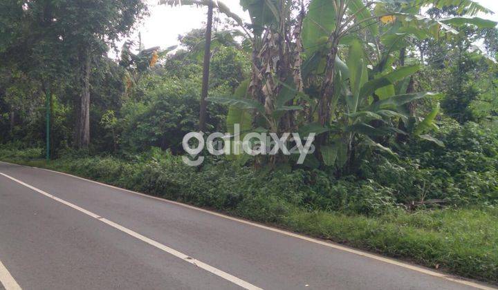 Tanah Cocok Untuk Hotel Dan Restoran ,Lokasi Ke Arah Gunung Ijen di Jl Raya Ijen 2