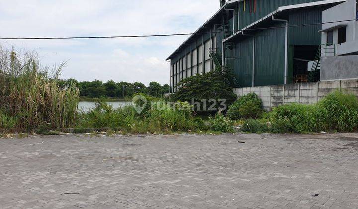 Dijual Tanah Di Kompleks Pergudangan Romokalisari 1