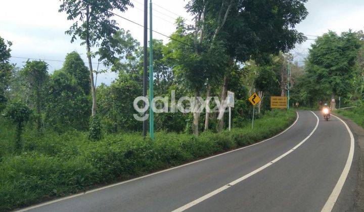 Tanah Cocok Untuk Hotel Dan Restoran ,Lokasi Ke Arah Gunung Ijen di Jl Raya Ijen 1