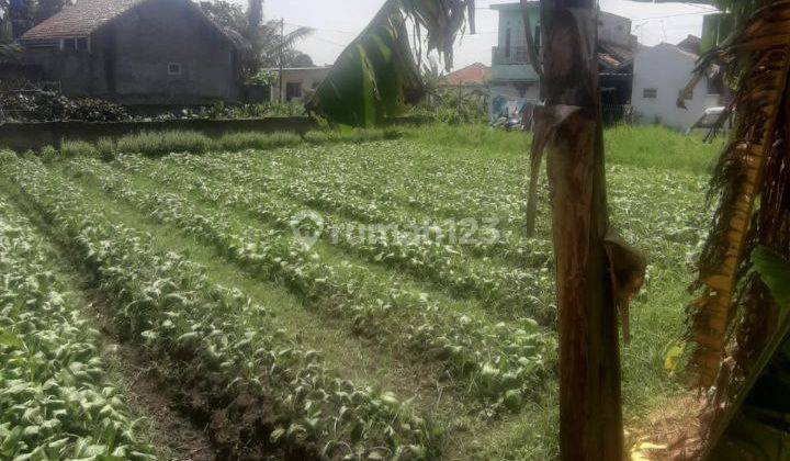 Tanah Kavling Strategis Dekat Kampus Upi Cibiru  1