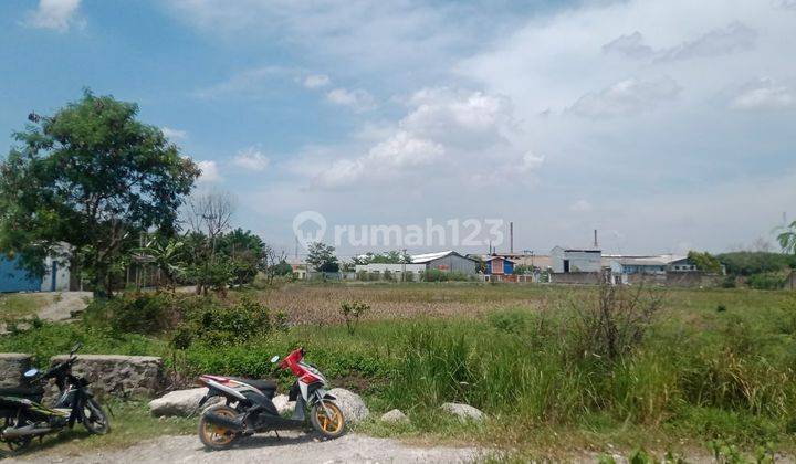 Tanah Sawah Cocok Untuk Pabrik Atau Gudang Di Gede Bage Bandung 1