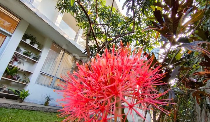 rumah mewah bagus siap huni cigadung bandung kota  2