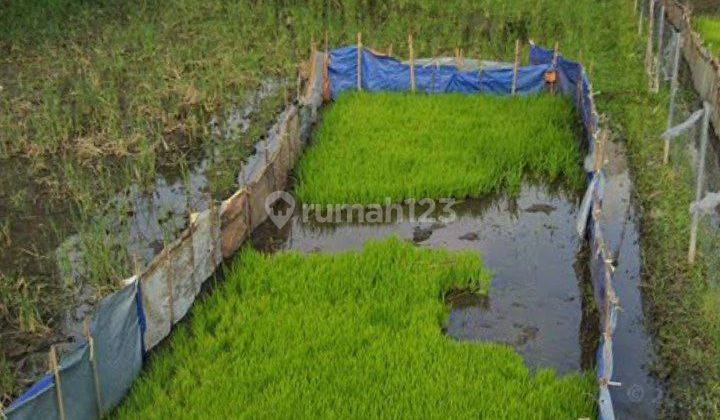tanah murah siap bangun di bumi panyileukan 2