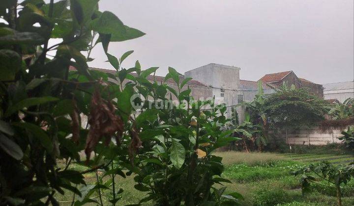 Tanah Matang Siap Bangun Murah di Gatot Subroto 1