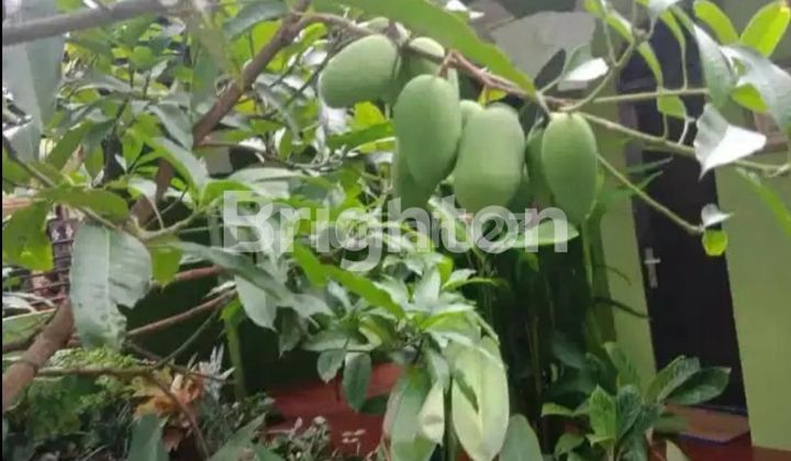 RUMAH 1 LANTAI SIAP HUNI DI GEDUNG JOHOR, MEDAN JOHOR 2