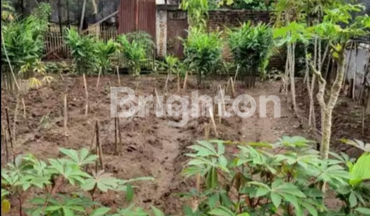 Tanah Kavling Seluas 105m2 Di Beringin, Deli Serdang Tanah Kavling Seluas 105m2 Di Beringin, Deli Serdang