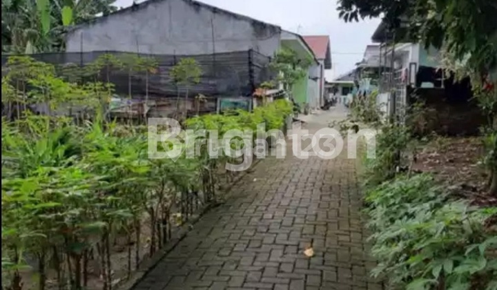 Tanah Kavling Seluas 105m2 Di Beringin, Deli Serdang Tanah Kavling Seluas 105m2 Di Beringin, Deli Serdang