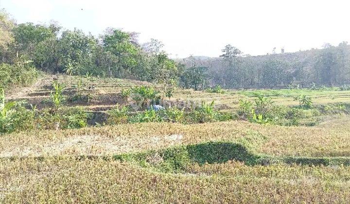 Dijual Tanah Gondangn Mojokerto Siap Pakai 2