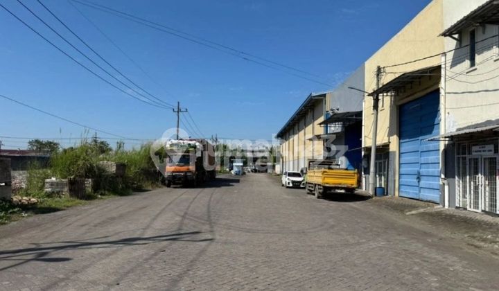 Dijual Gudang Tambak Sawah Sidoarjo Strategis Siap Pakai Dijual Gudang Tambak Sawah Sidoarjo Strategis Siap Pakai