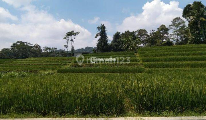 Dijual Tanah Kavling Mojokerto Siap Pakai 1