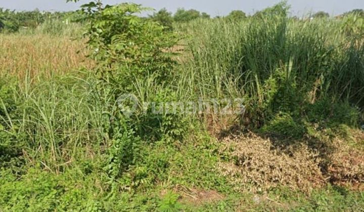 Dijual Tanah Kavling Lingkar Timur Sidoarjo Strategis Siap Pakai Dijual Tanah Kavling Lingkar Timur Sidoarjo Strategis Siap Pakai