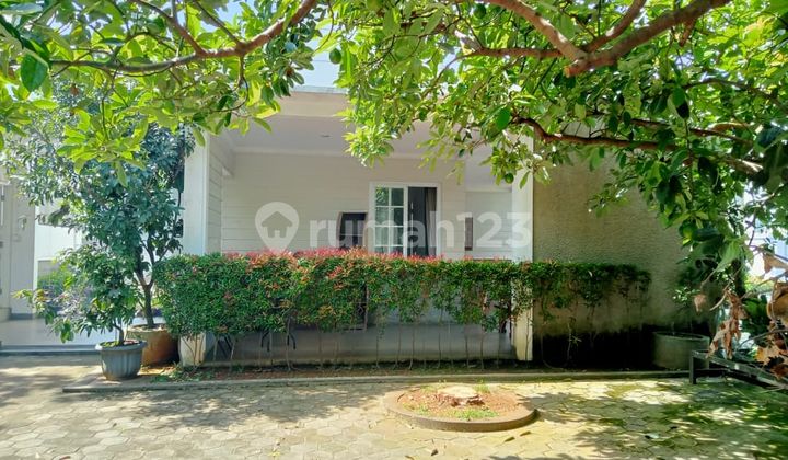 Rumah Kebun bisa Buat Cluster Residential Rumah Kebun bisa Buat Cluster Residential