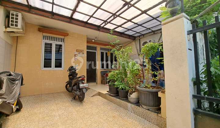 For Sale Fast House Hybrid Coconut Kelapa Gading Standard Needs Renovation Price 200M Negotiable Until Deal