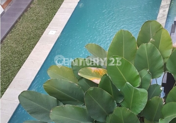 Stand Alone House At West Cilandak Nice House 2