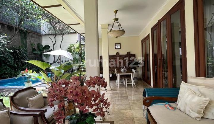 Stand Alone in South Cipete