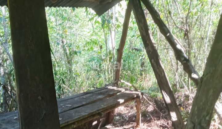 For Quick Sale: Land Suitable for Farming or Building a Tourist Destination in Kombi District, Minahasa, North Sulawesi