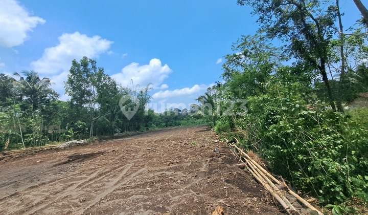 Near Kopi Klothok East Sleman, Land with SHM Certificate for 100 Million Near Kopi Klothok East Sleman, Land with SHM Certificate for 100 Million