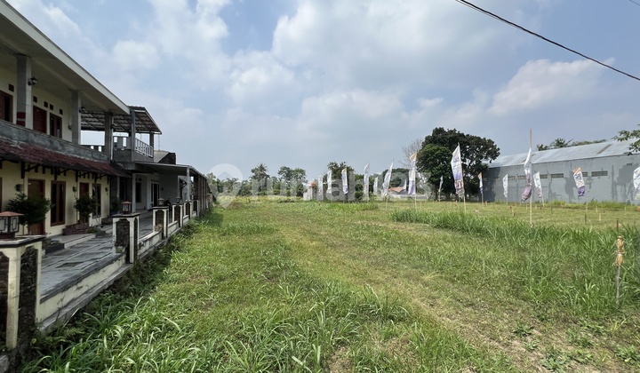 Tanah Jogja Murah Mangku Jalan Utama Pendowoharjo Sleman