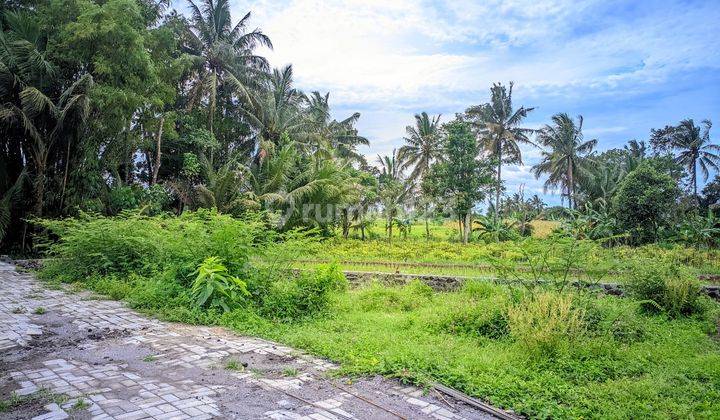 Tanah Murah di Jogja Utara 5 Menit Dari Kampus Uii Jakal 2