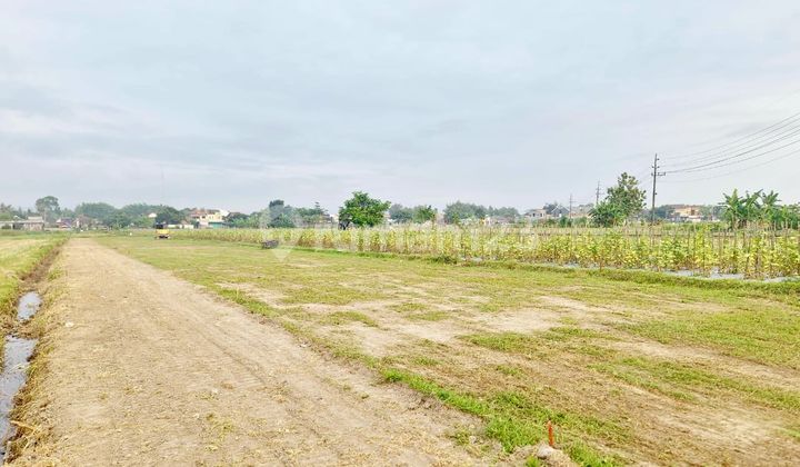 Kavling View Sawah + Gunung – Udara Segar Area Sidoaru Sleman Kavling View Sawah + Gunung – Udara Segar Area Sidoaru Sleman