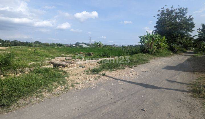 Tanah Sleman Murah 500 Jt An Jl Kabupaten Selatan Rsa Ugm 2